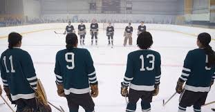 Hockey team lined up in the arena